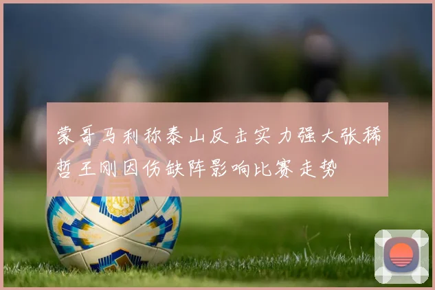 蒙哥马利称泰山反击实力强大张稀哲王刚因伤缺阵影响比赛走势