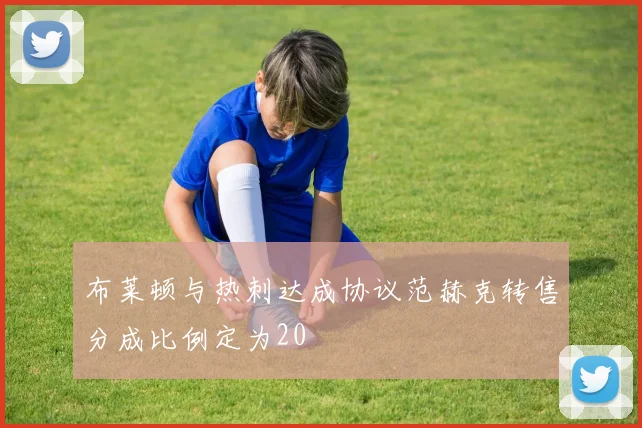 布莱顿与热刺达成协议范赫克转售分成比例定为20