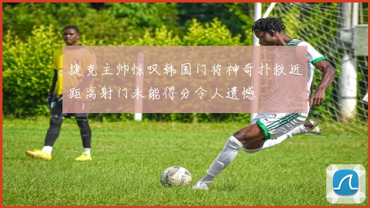 捷克主帅惊叹韩国门将神奇扑救近距离射门未能得分令人遗憾