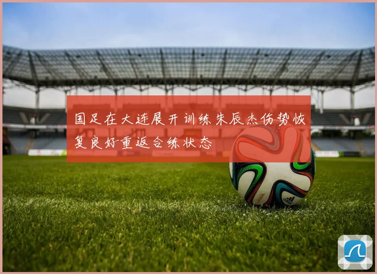 国足在大连展开训练朱辰杰伤势恢复良好重返合练状态